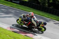 cadwell-no-limits-trackday;cadwell-park;cadwell-park-photographs;cadwell-trackday-photographs;enduro-digital-images;event-digital-images;eventdigitalimages;no-limits-trackdays;peter-wileman-photography;racing-digital-images;trackday-digital-images;trackday-photos